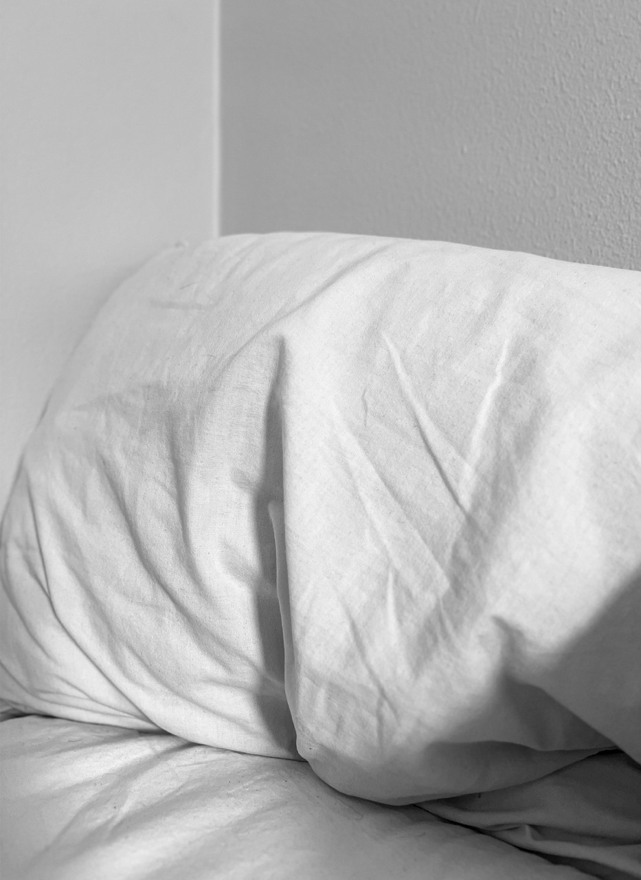 Smell Ya Later — pillow